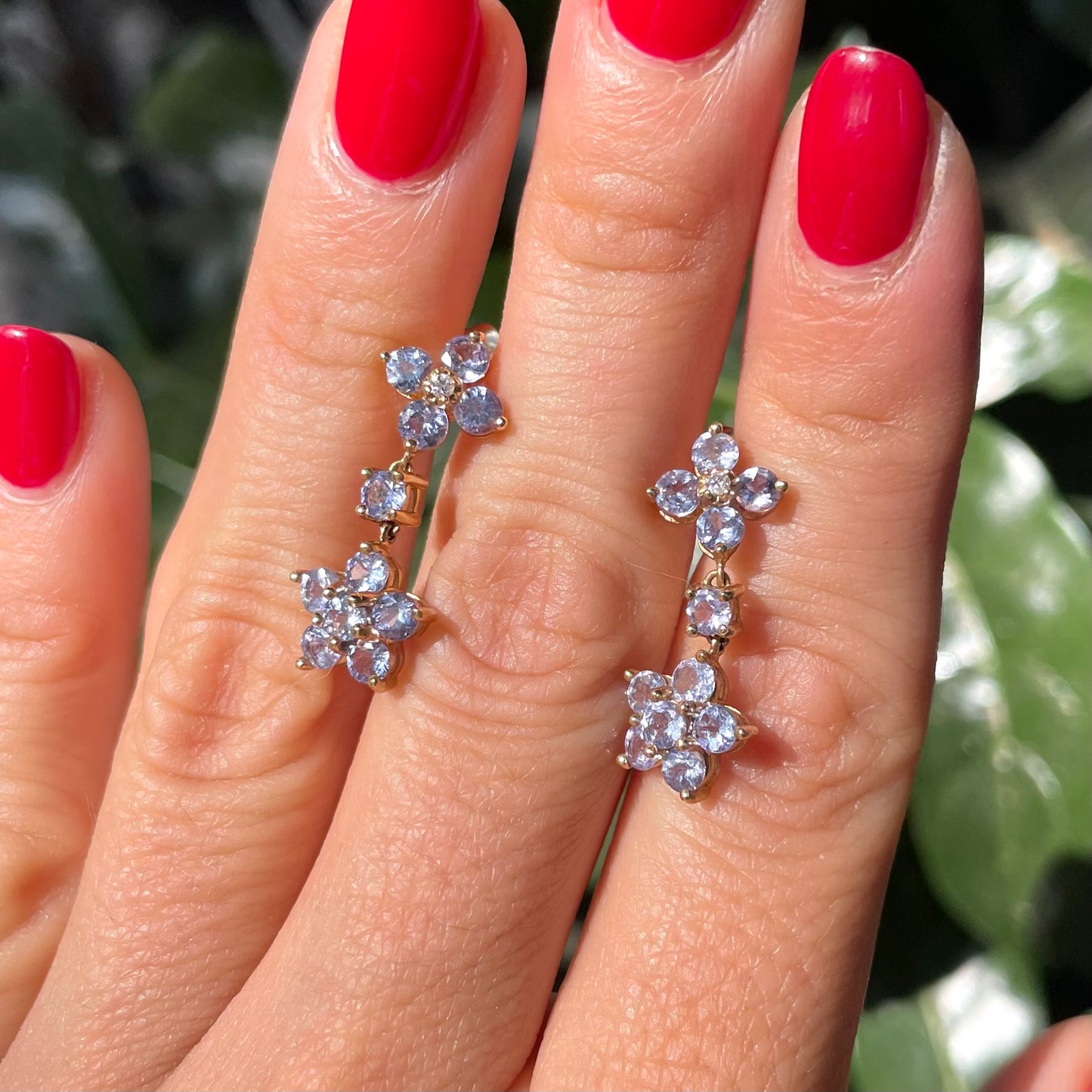 Tanzanite flowers
