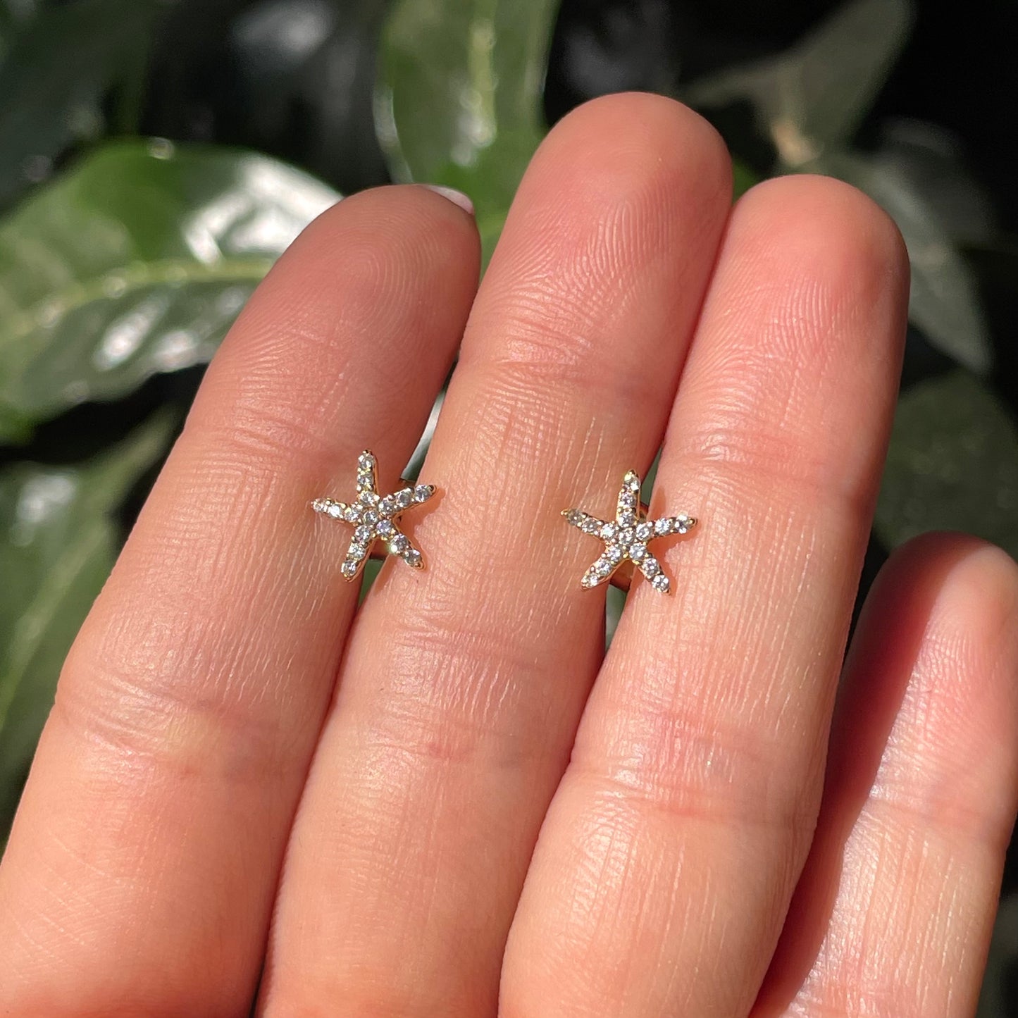 Aretes de estrella