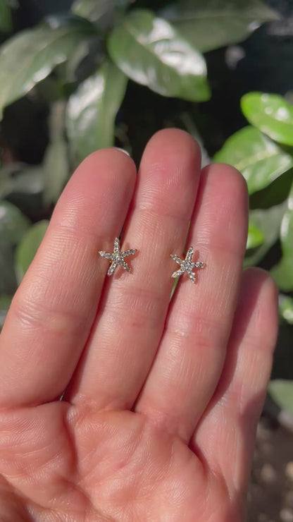 Aretes de estrella